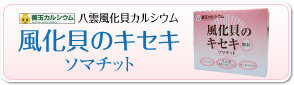 風化貝のキセキ　ソマチット